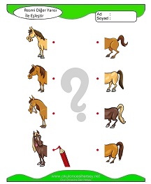 Resmi Diğer Yarısı ile Eşleştir Çalışma Sayfaları